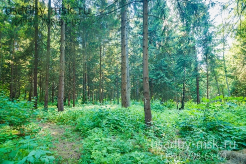 коттедж Киевское шоссе