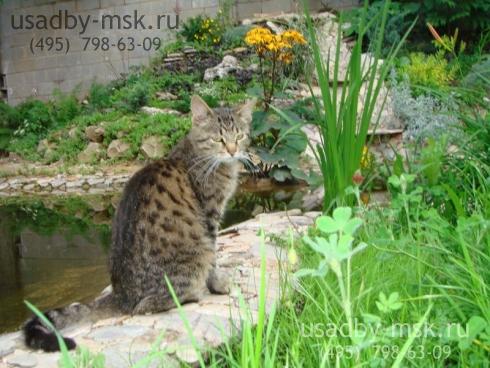 резиденция Минское шоссе